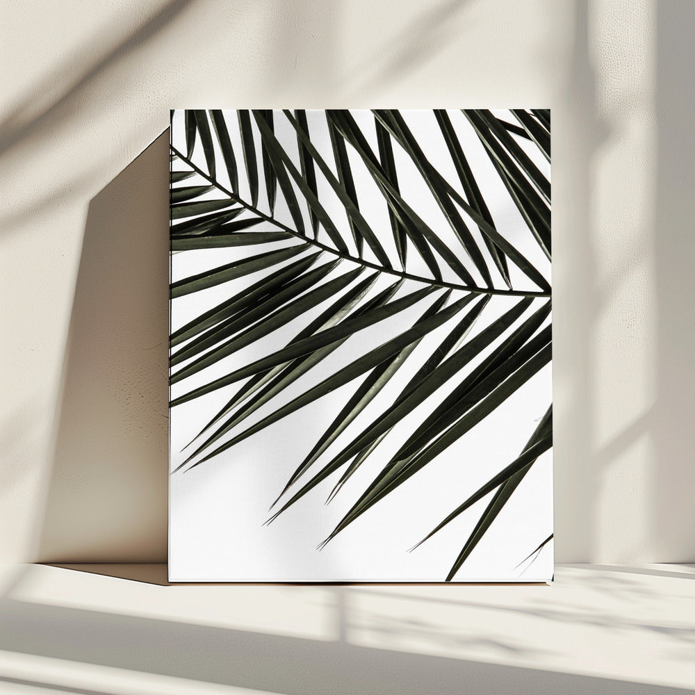 Schaduwen van varens | Canvas