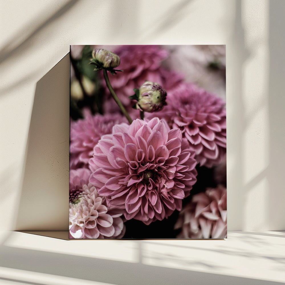 Bloemblaadjessymfonie | Canvas