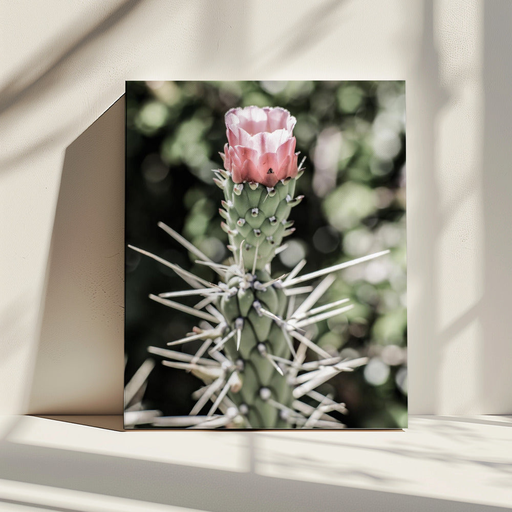 Woestijnbloesem schoonheid | Canvas