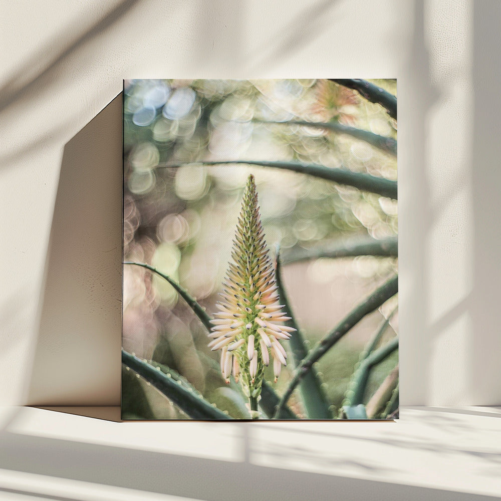 Sappige sereniteit | Canvas