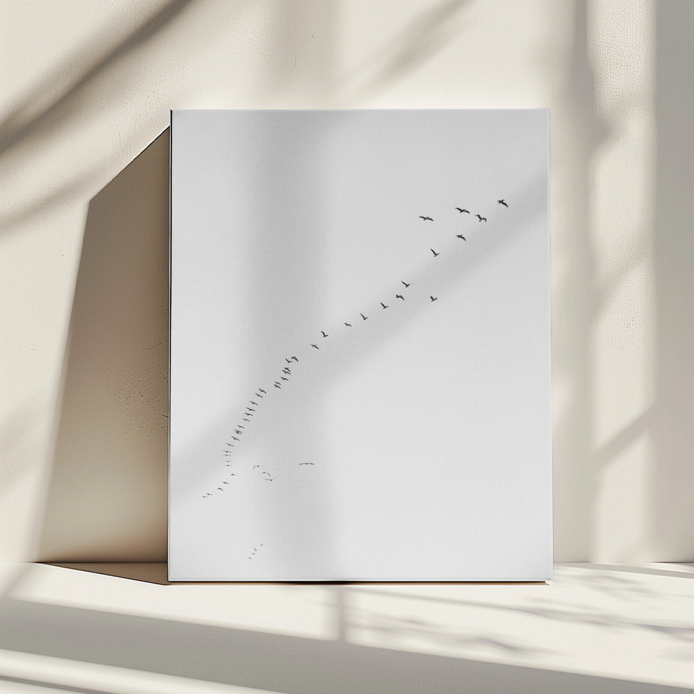 Vlucht in formatie | Canvas