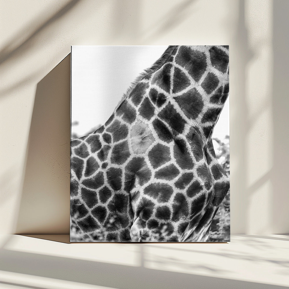 Intricate Patterns Of A Giraffe's Skin | Canvas