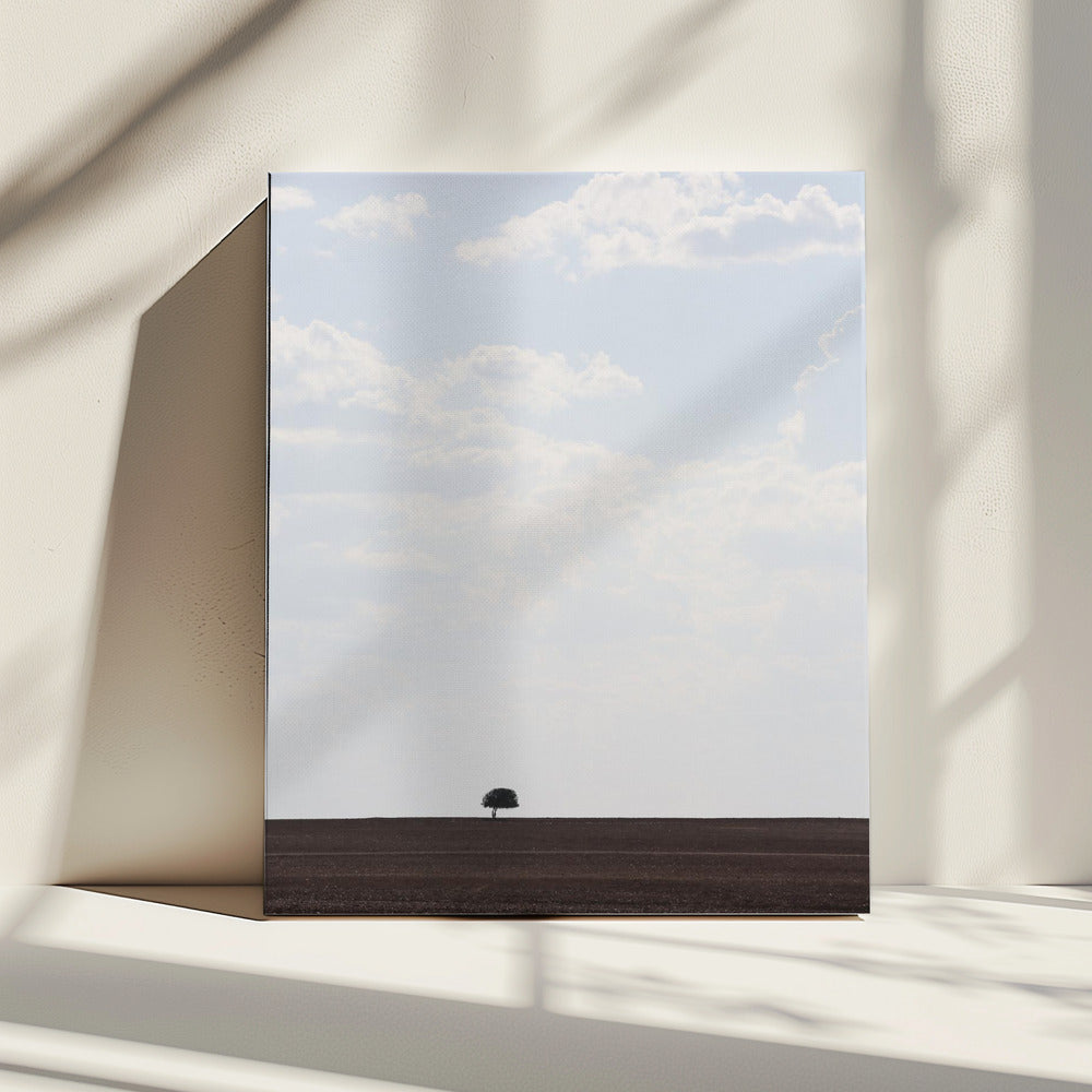 Swart Land | Canvas