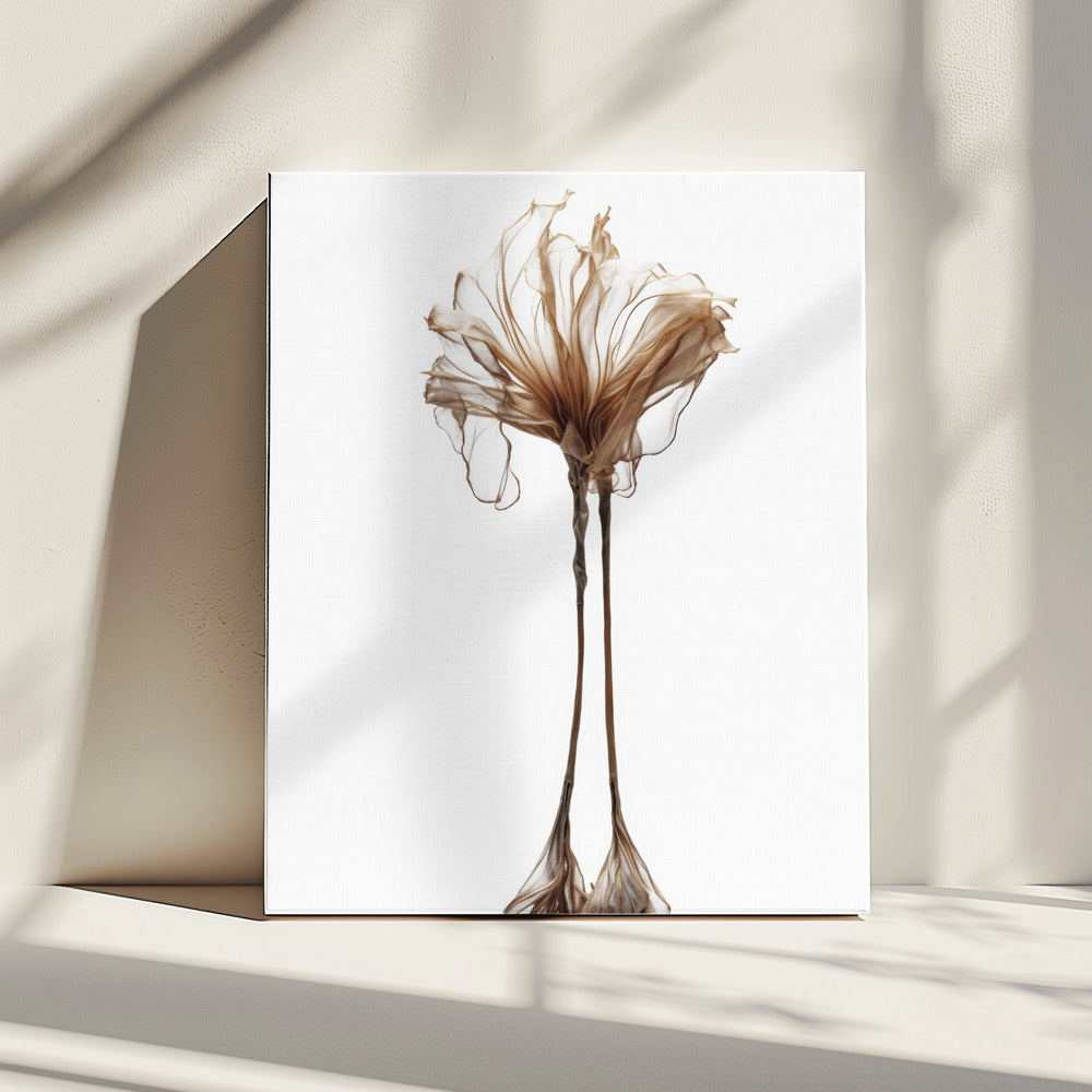 Delicate grilligheid | Canvas