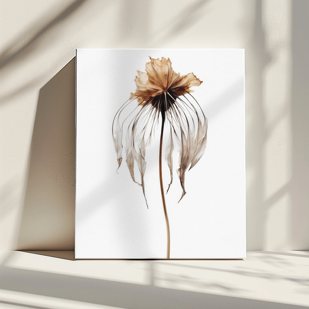 Vervaagde elegantie | Canvas