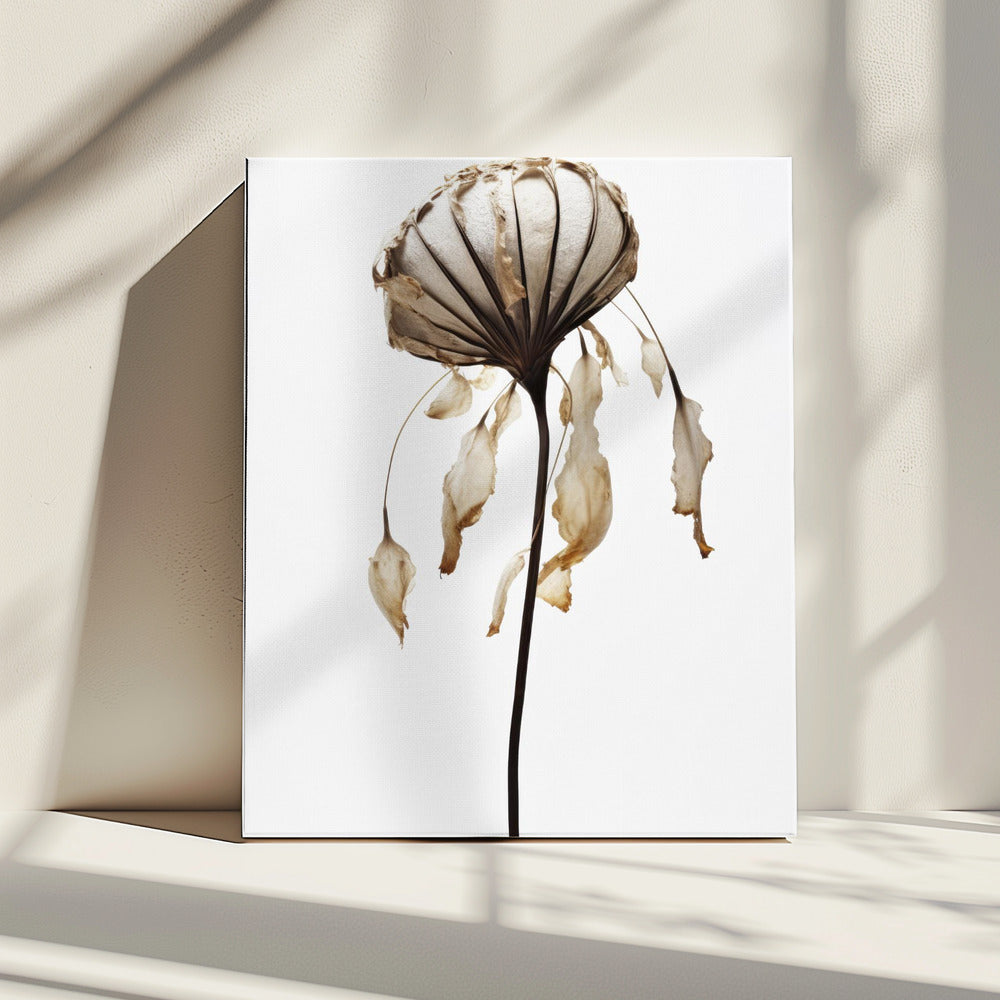 Verwelkte elegantie | Canvas