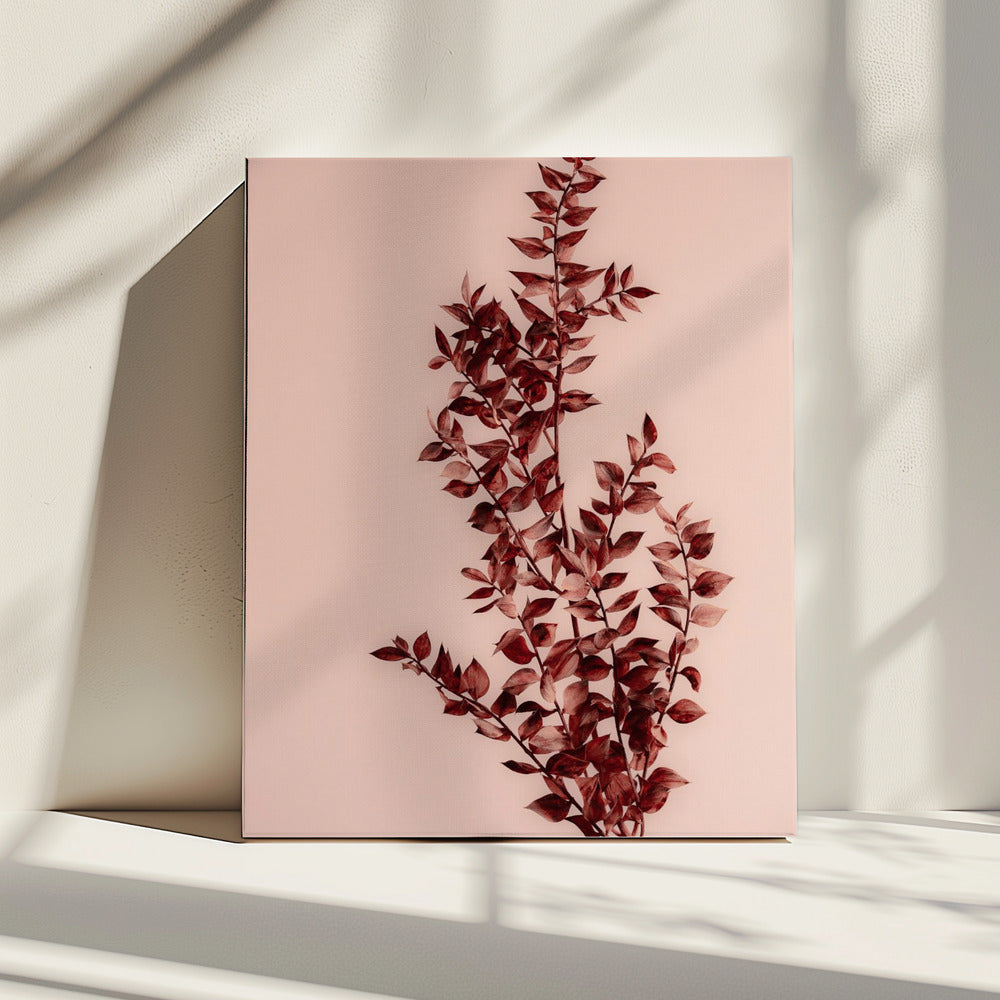 Afgelopen zomer 18 | Canvas