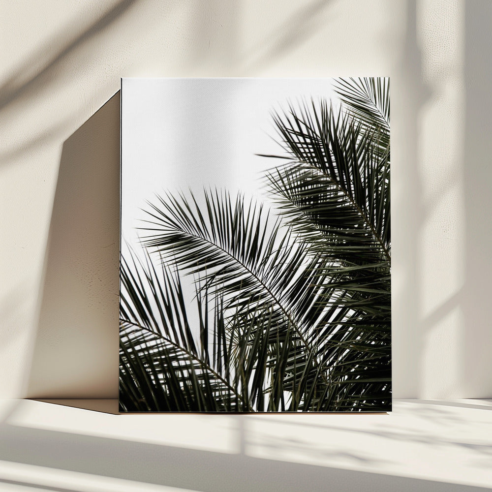 Palmbladeren 3 | Canvas