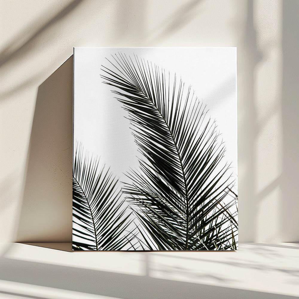Palmbladeren 1 | Canvas