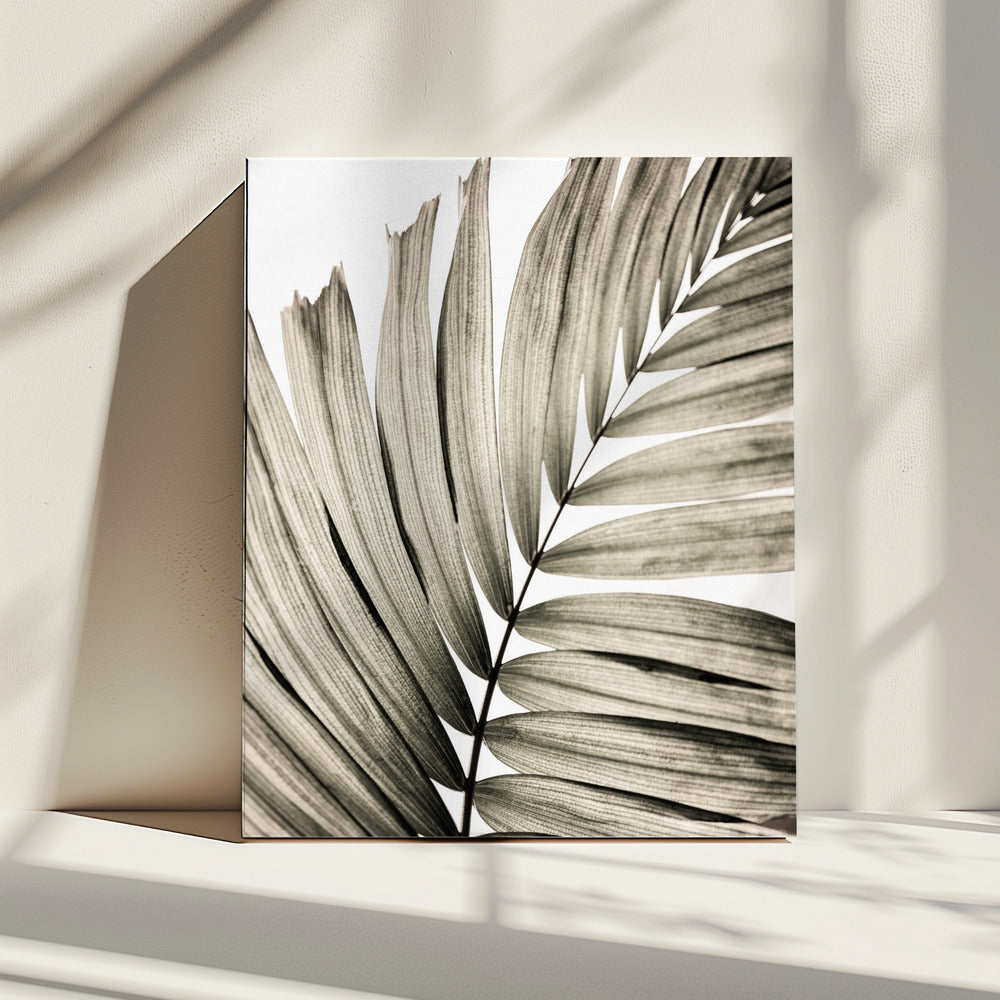 Palmbladeren 22 | Canvas