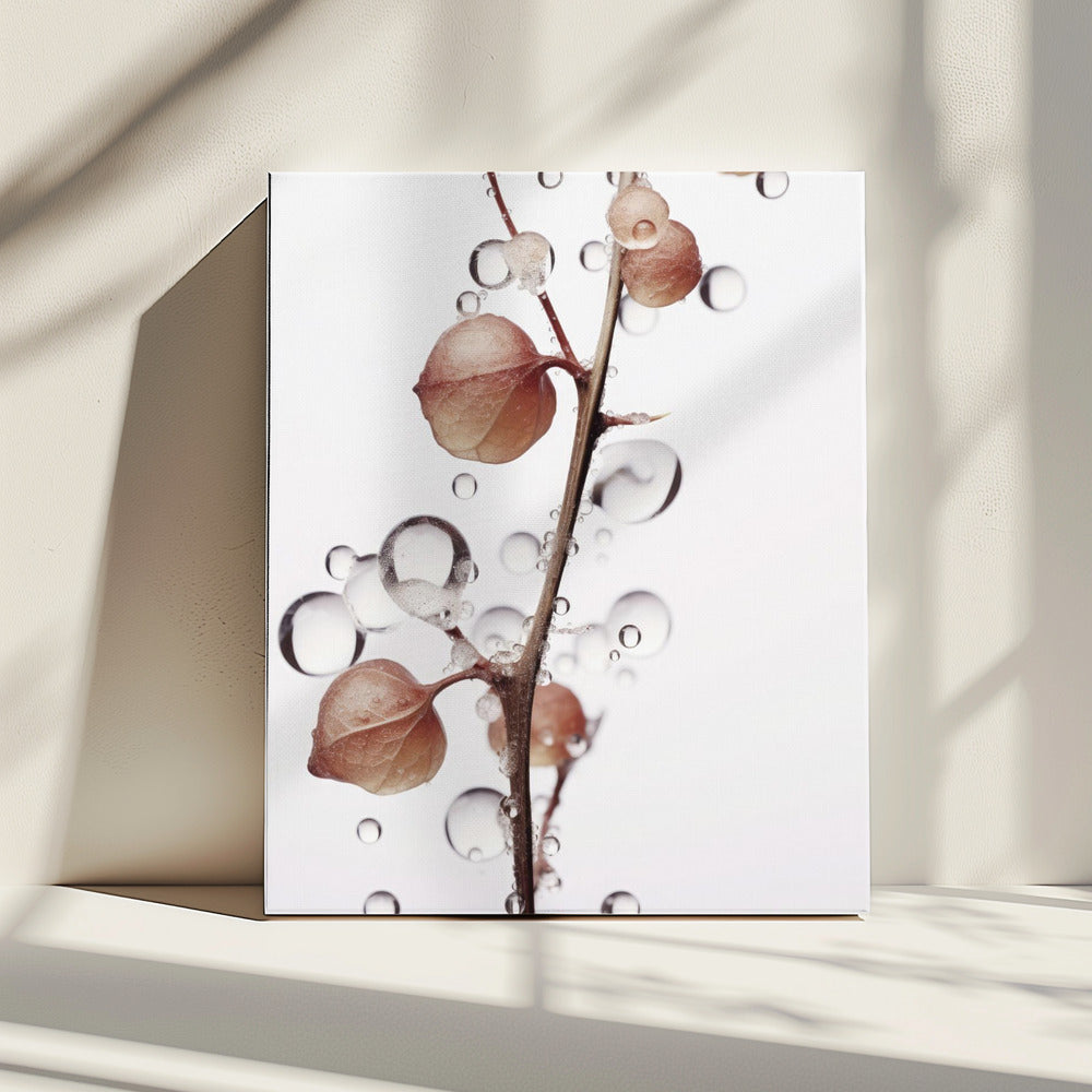 Bubbels en bloemen | Canvas
