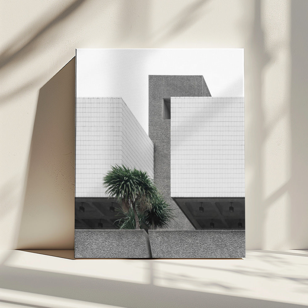 Eenzame palmen | Canvas