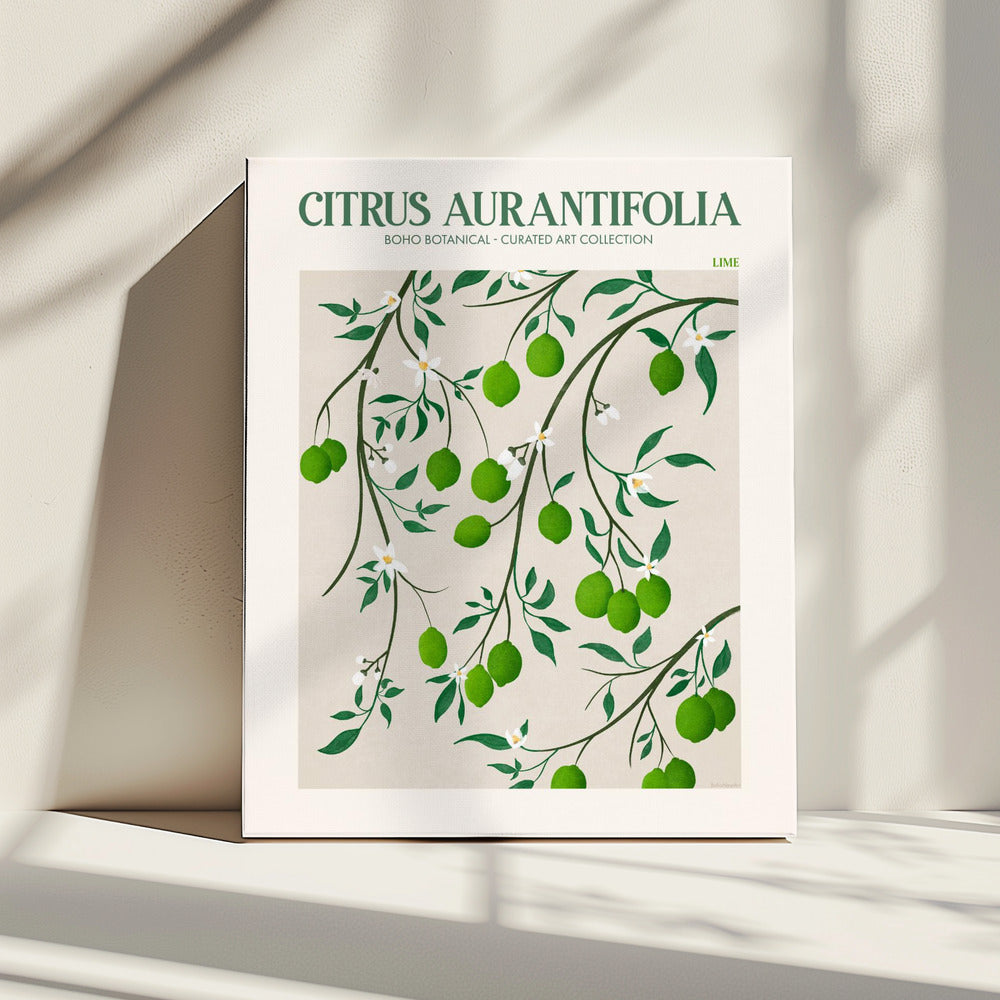 Botanical Lime Bliss | Canvas