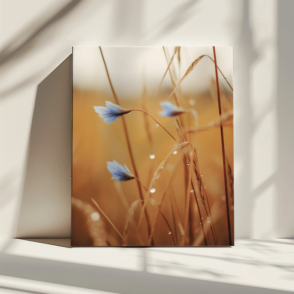 Blauwe bloemen bij zonsopgang | Canvas