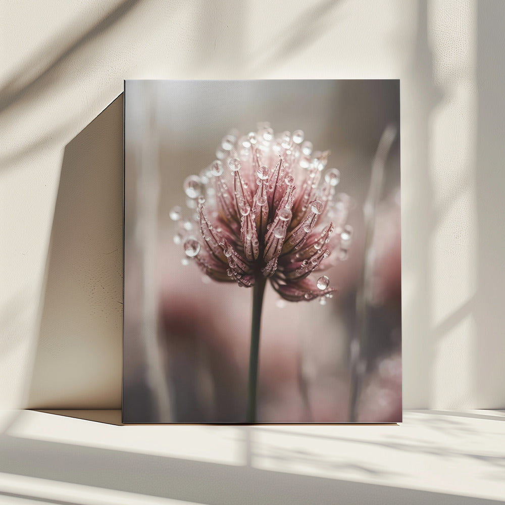 Dauwgekuste bloesem | Canvas