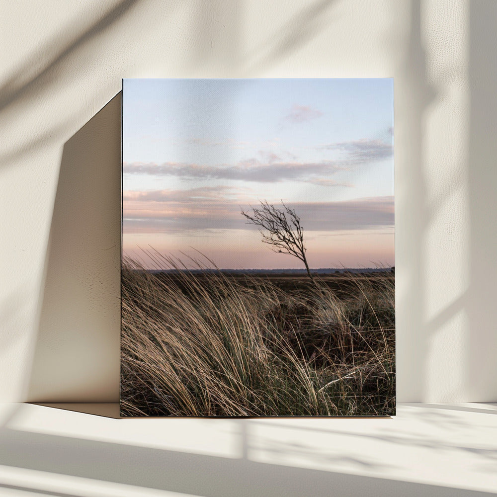 Aan de kust 4 | Canvas