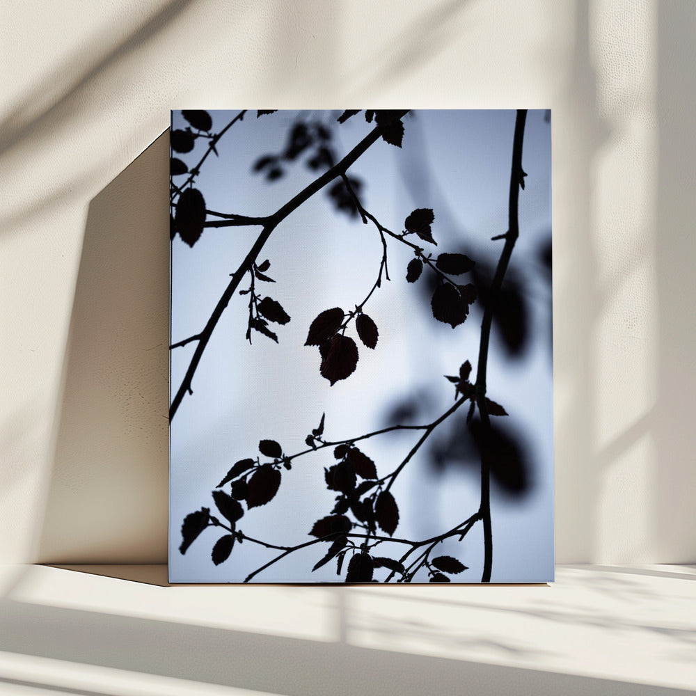 Dageraad | Canvas