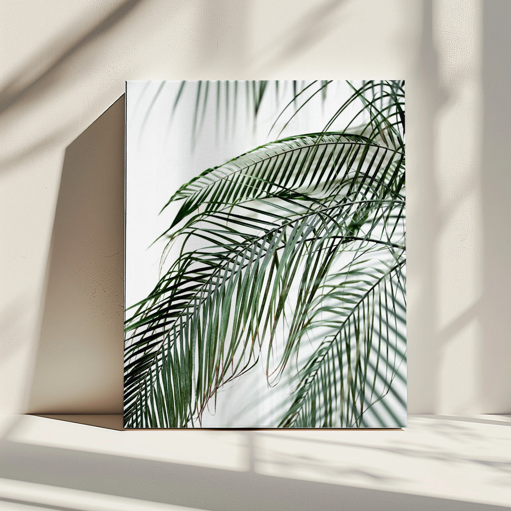 Palmbladeren 21 | Canvas