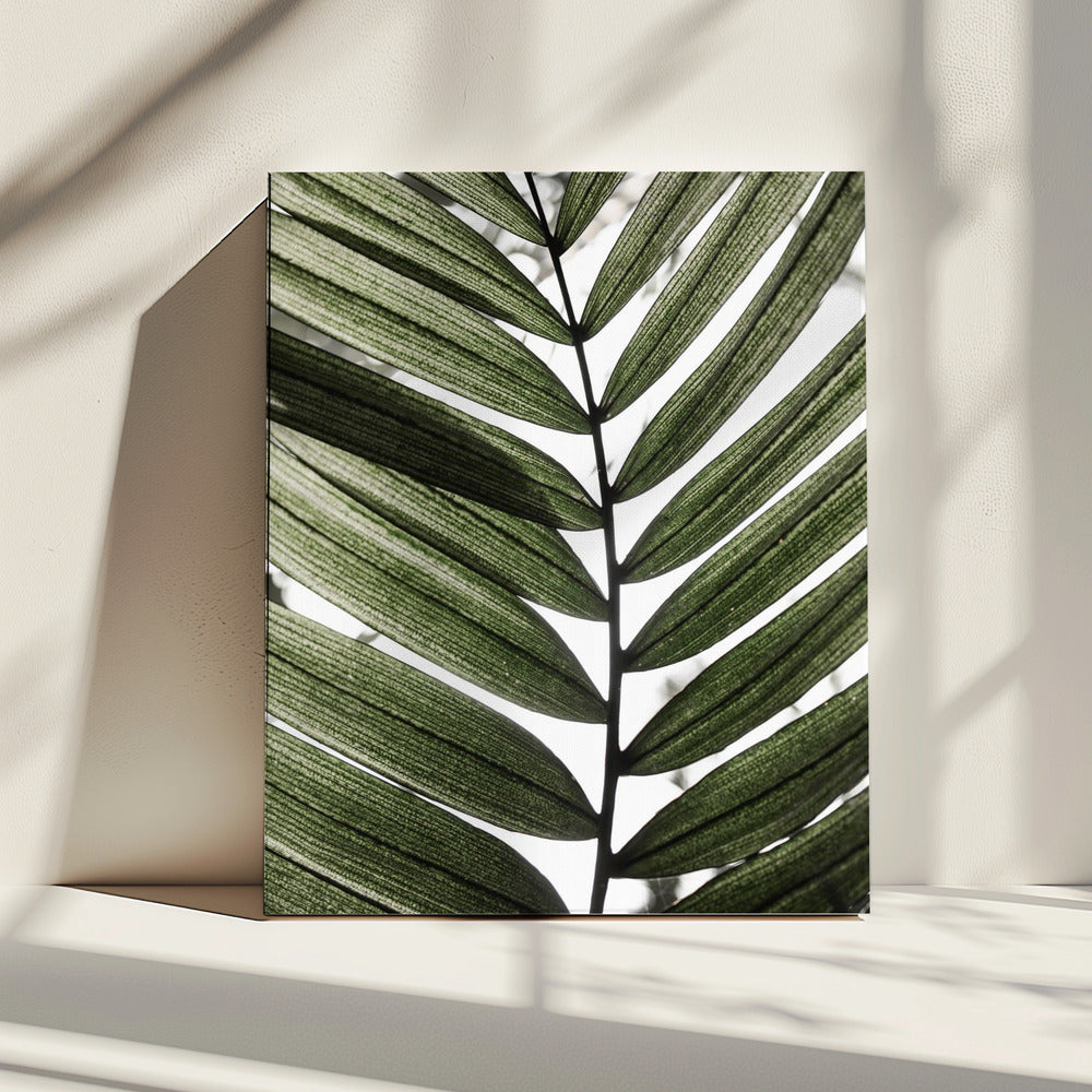 Palmbladeren 24 | Canvas