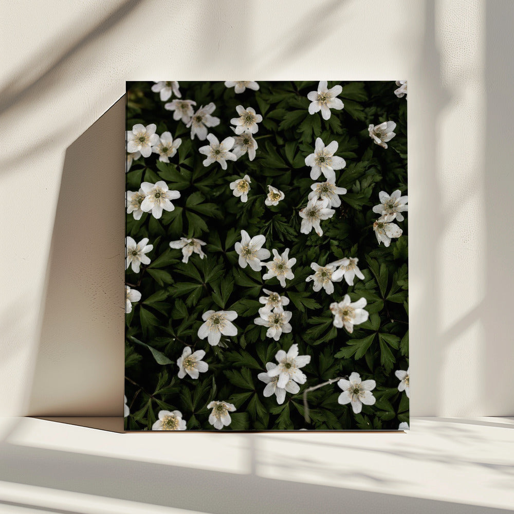 Kleine Bloemen 2 | Canvas