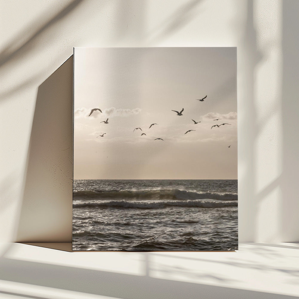 Vogels en de zee 3 | Canvas