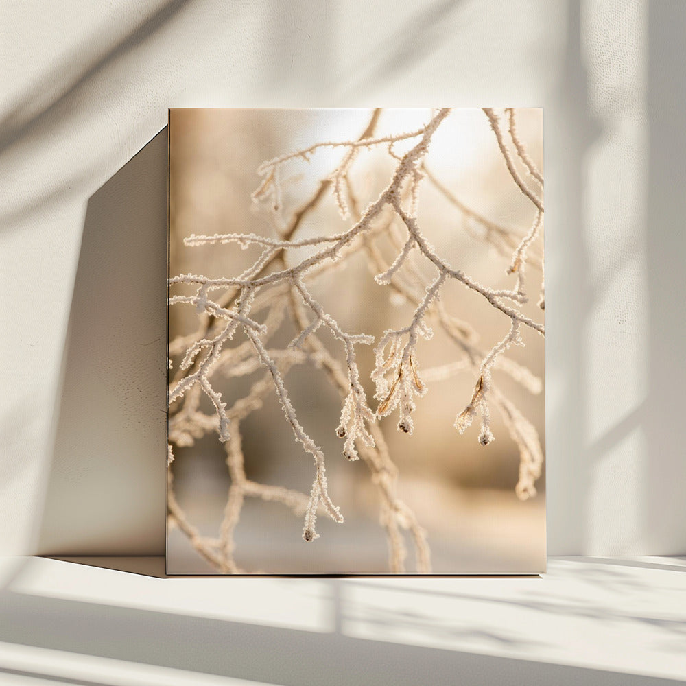 Vorstelijke ochtend 6 | Canvas