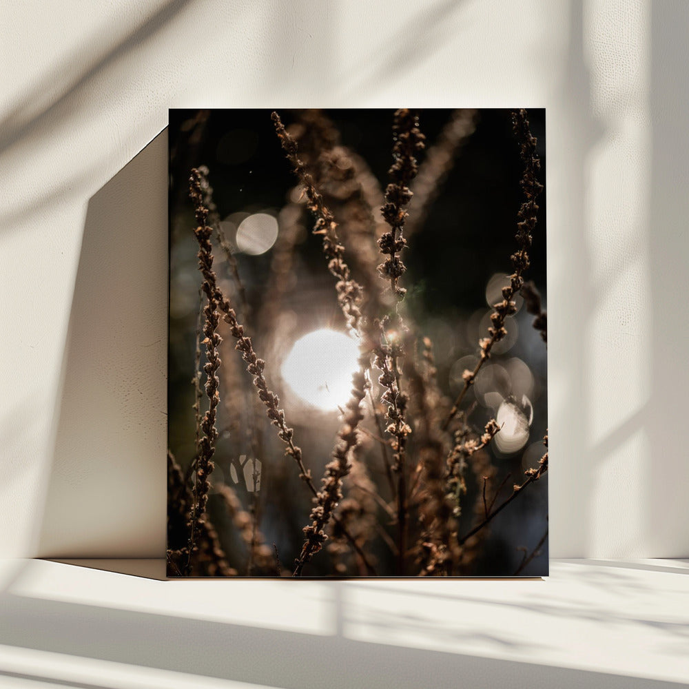 Natuurlijke Sparkle 2 | Canvas
