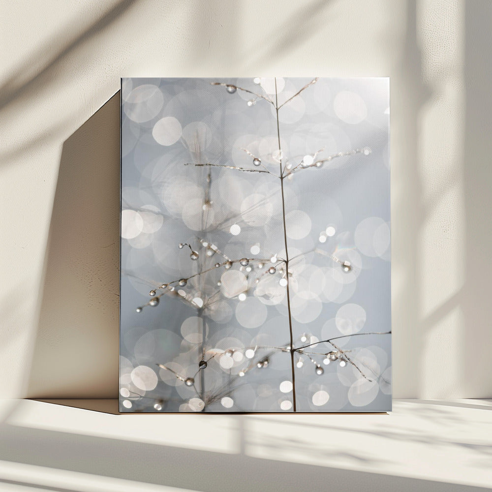 Natuurlijke schittering | Canvas
