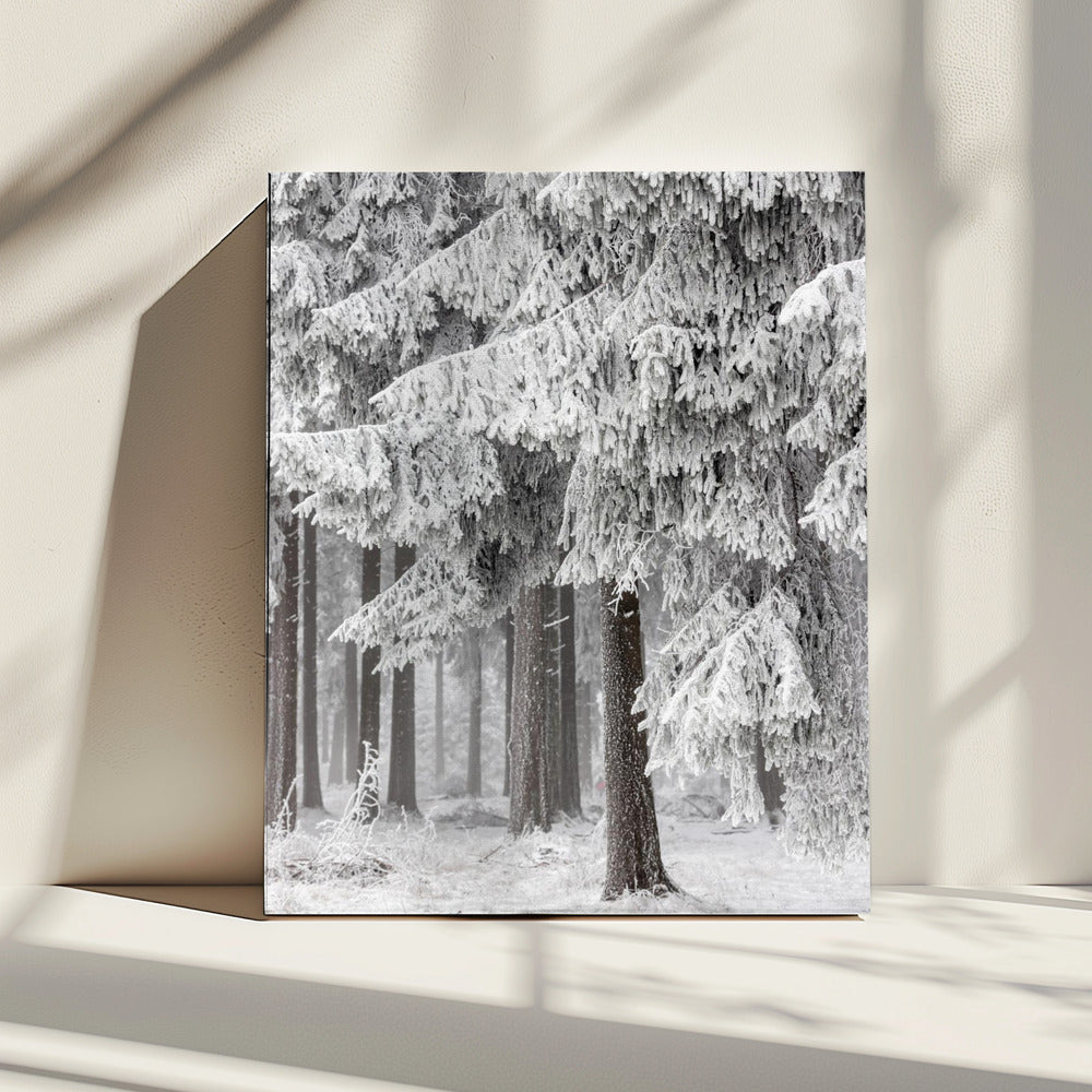Winterbos 2 | Canvas