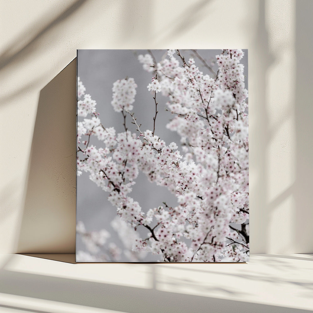Kleurrijke Lente 6 | Canvas