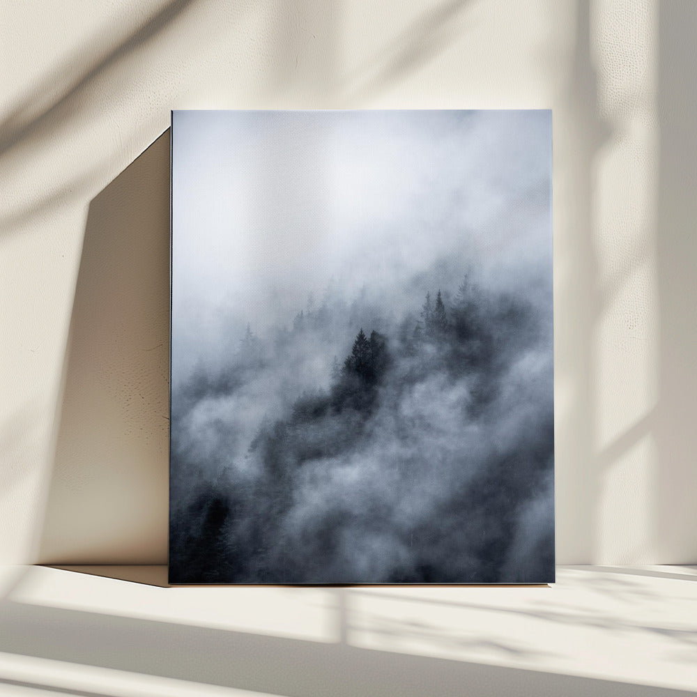 Mistige ochtend 3 | Canvas