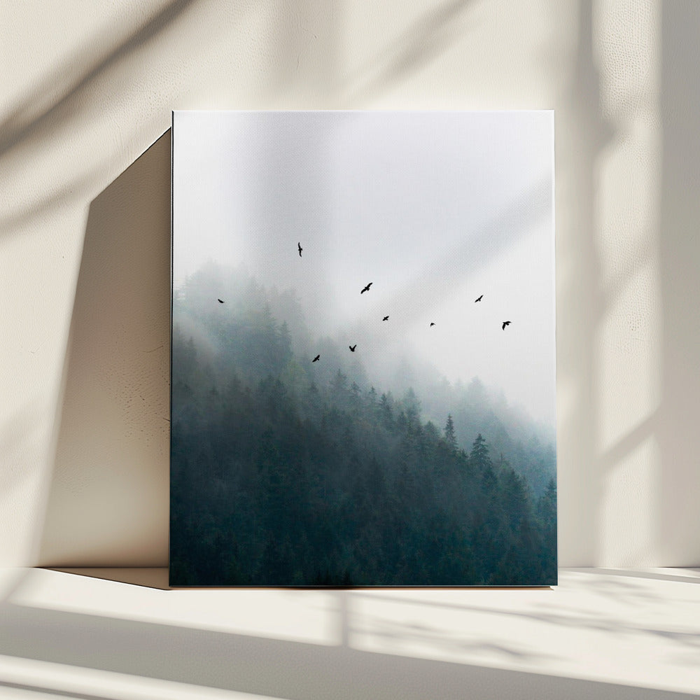 Mistige ochtend 4 | Canvas
