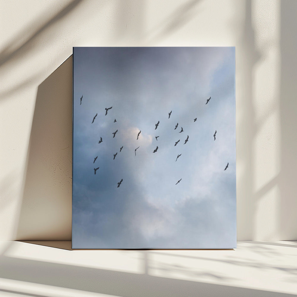 Vrij als een vogel | Canvas