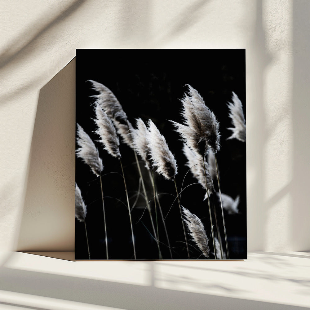 Gras 4 | Canvas