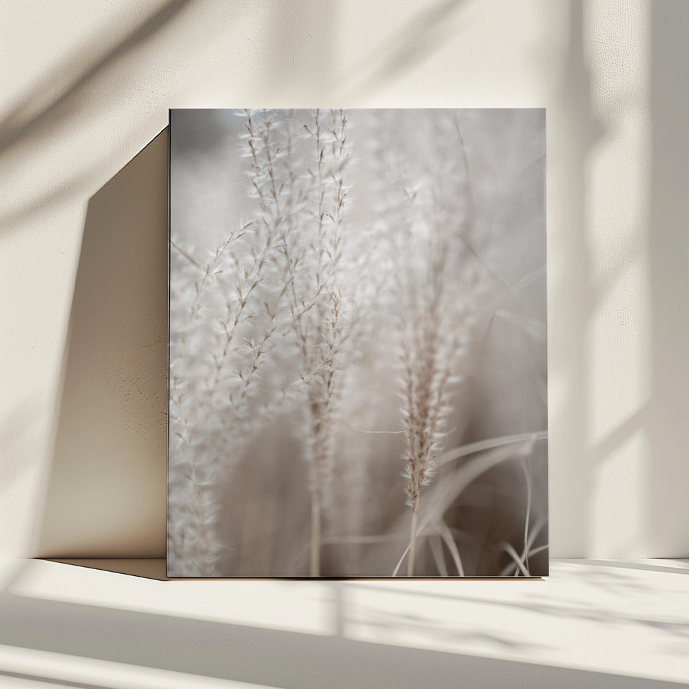 Gras 18 | Canvas