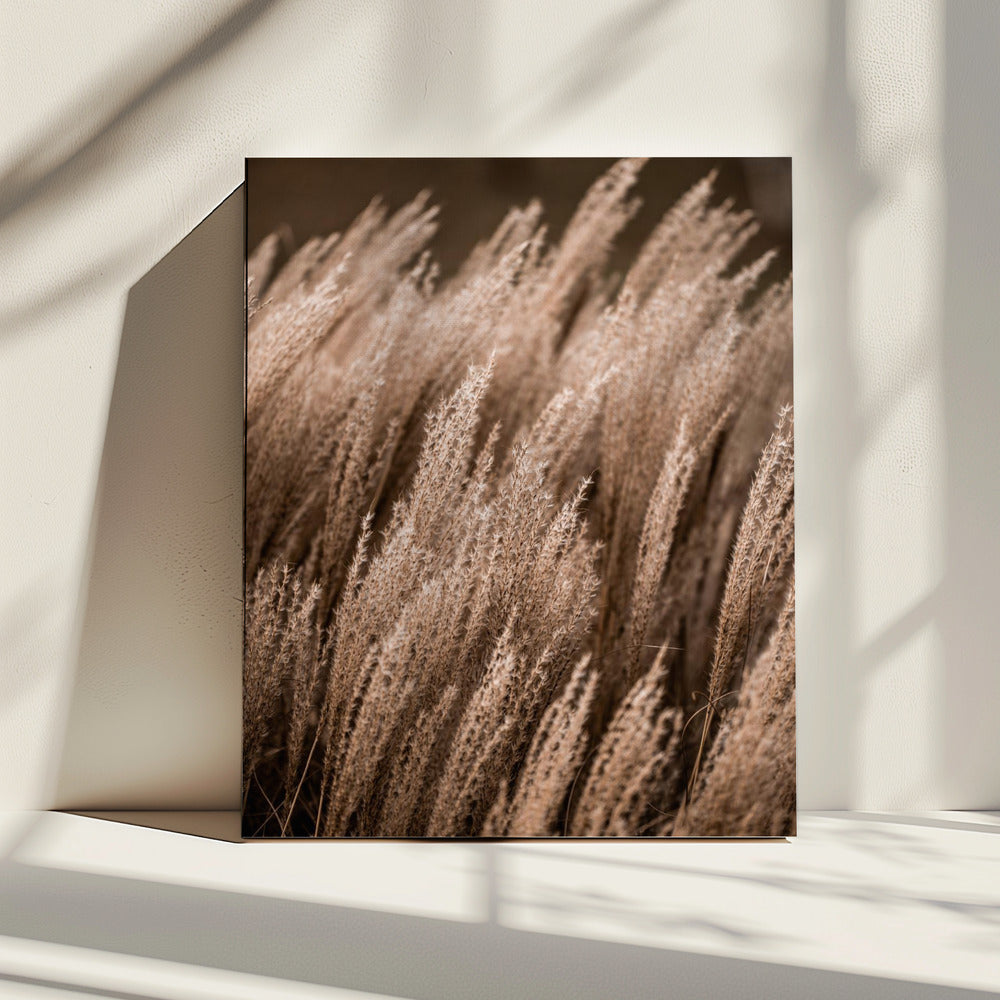 Grass 16 | Canvas
