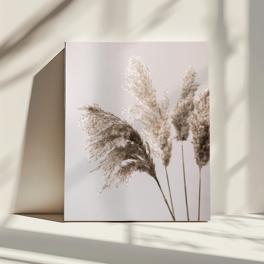 Grass 24X | Canvas