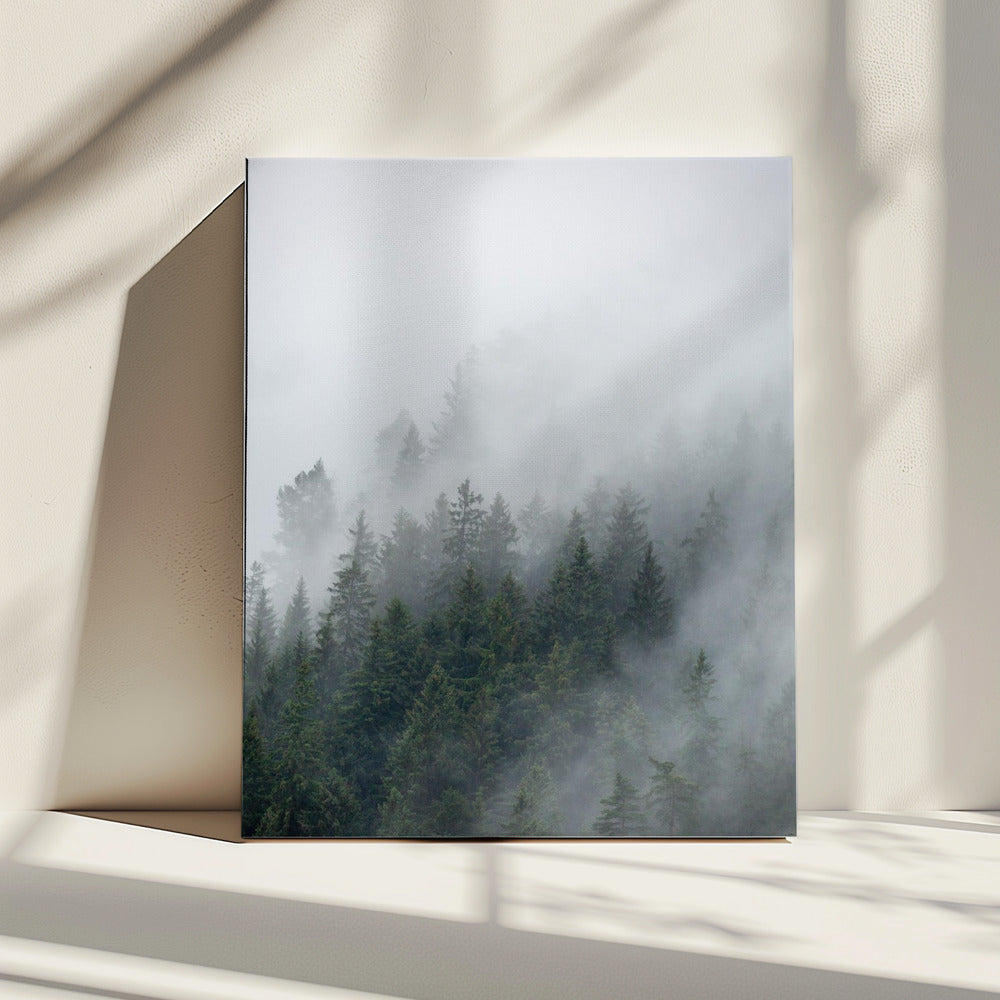 Foggy Morning 2 | Canvas