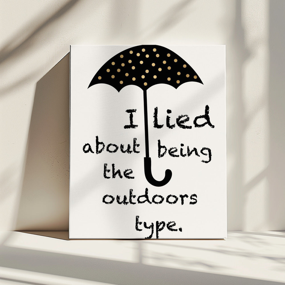 Sorry, I Lied | Canvas