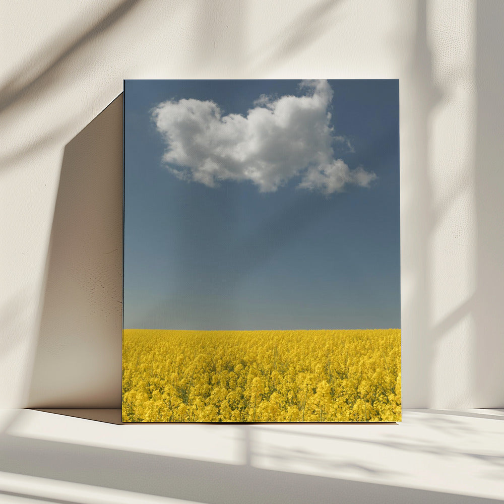 Visie | Canvas