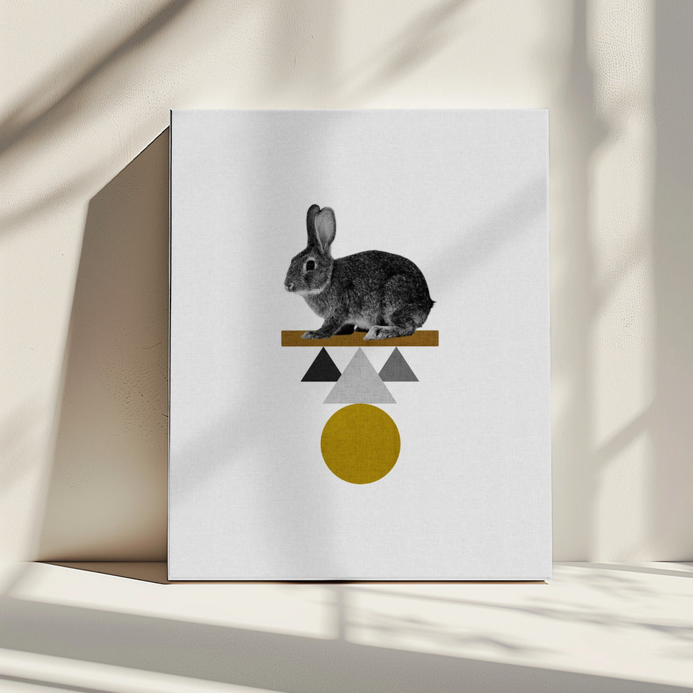 Stam Konijn | Canvas
