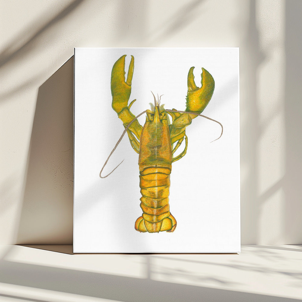 Kreeft | Canvas