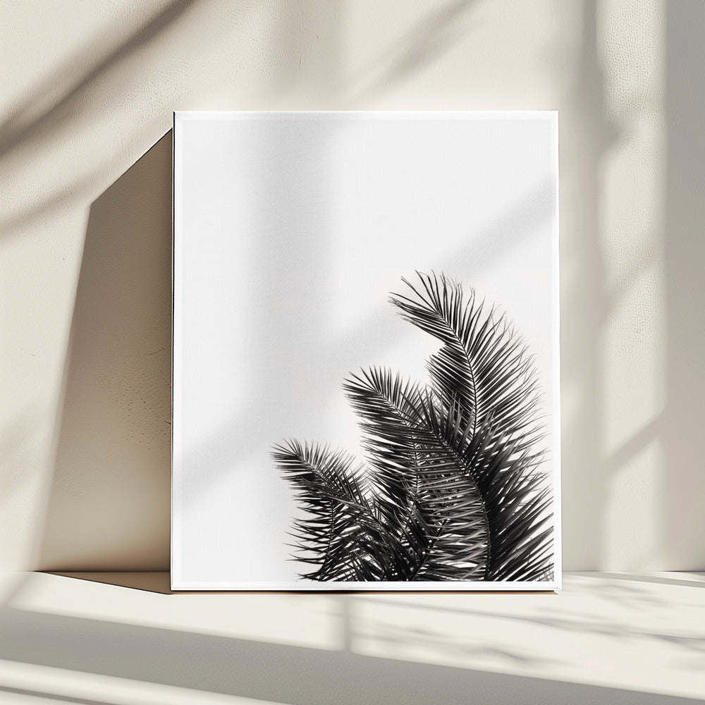 Palm Fluister | Canvas