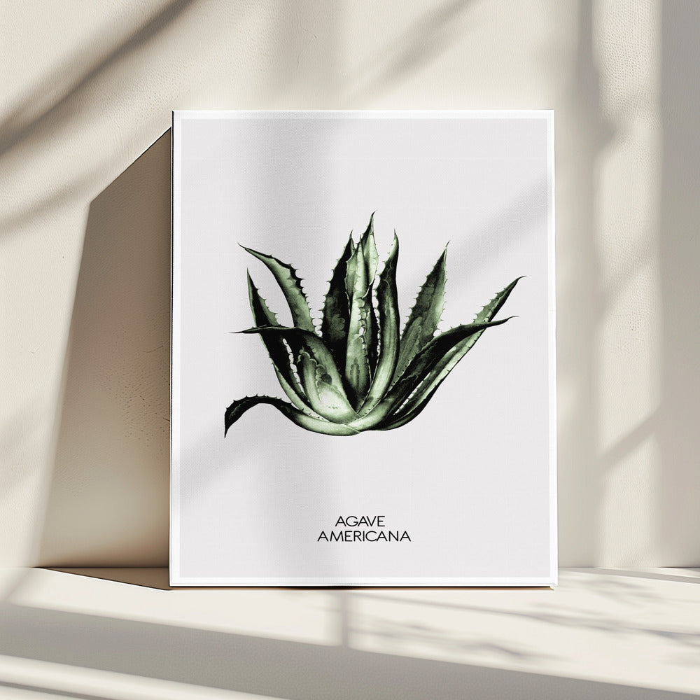 Green Agave Elegance | Canvas