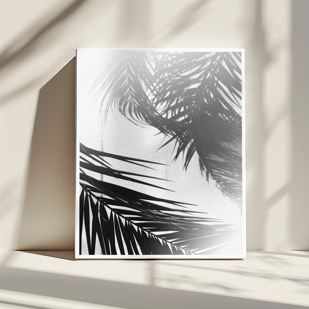 Palmsilhouetten | Canvas