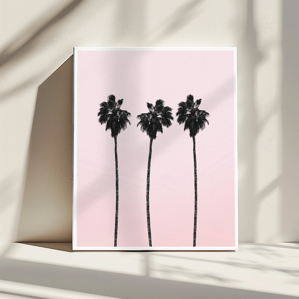 Drie hoge palmen | Canvas