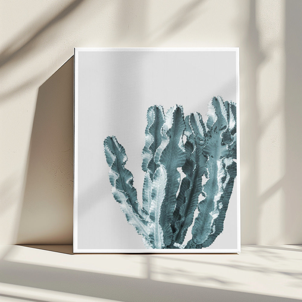 Cactus Elegantie | Canvas