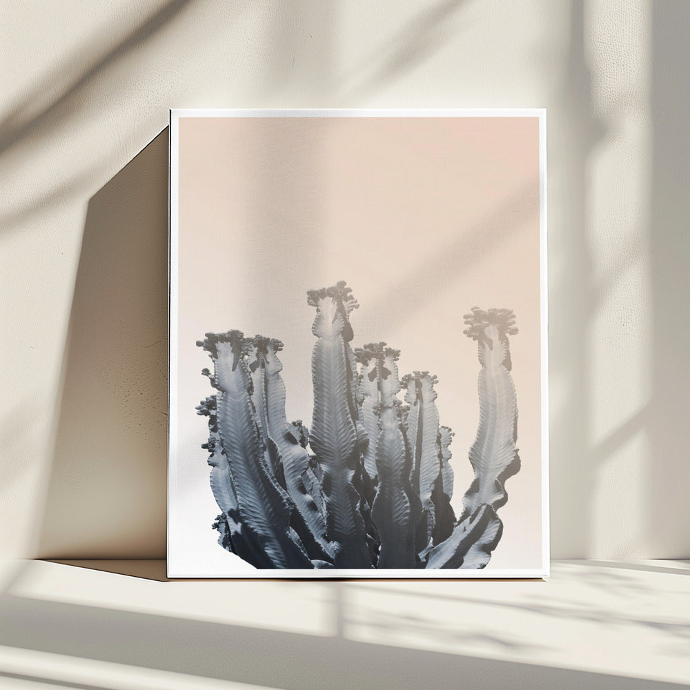 Cactussilhouetten | Canvas