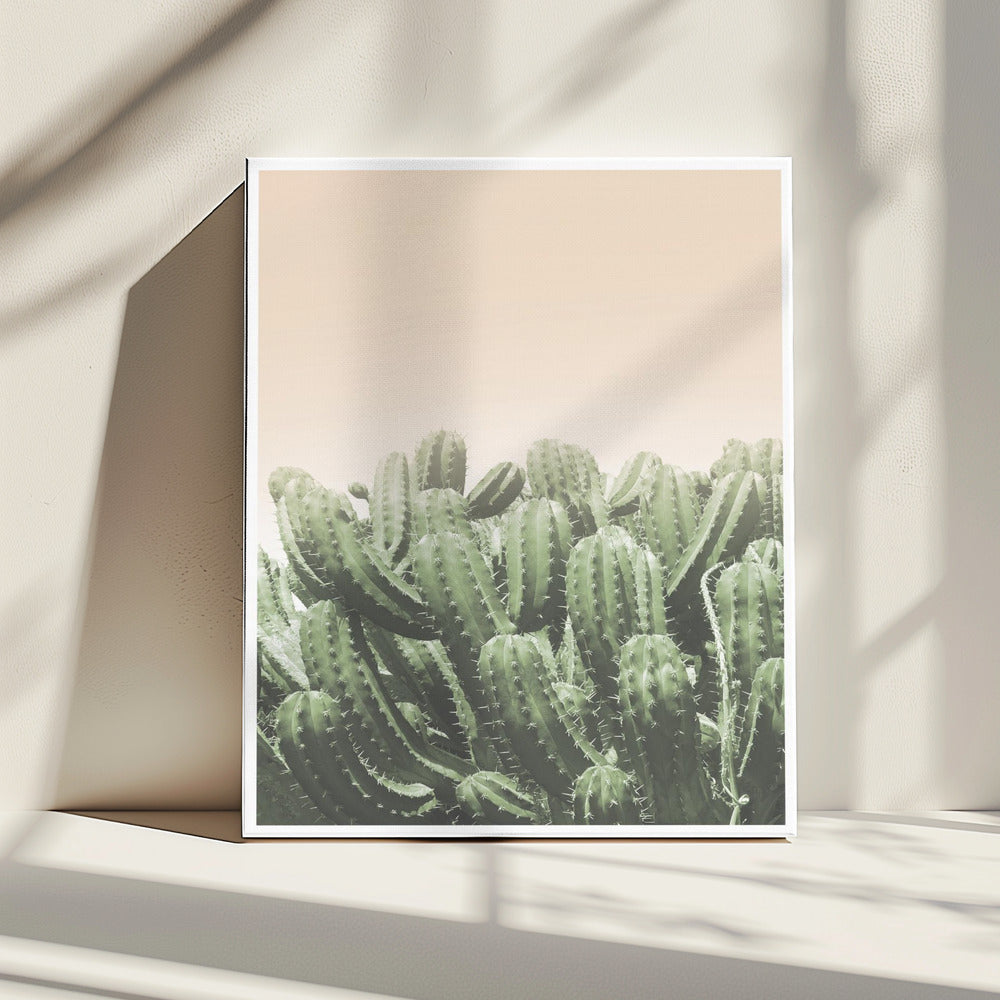De omhelzing van de woestijn | Canvas