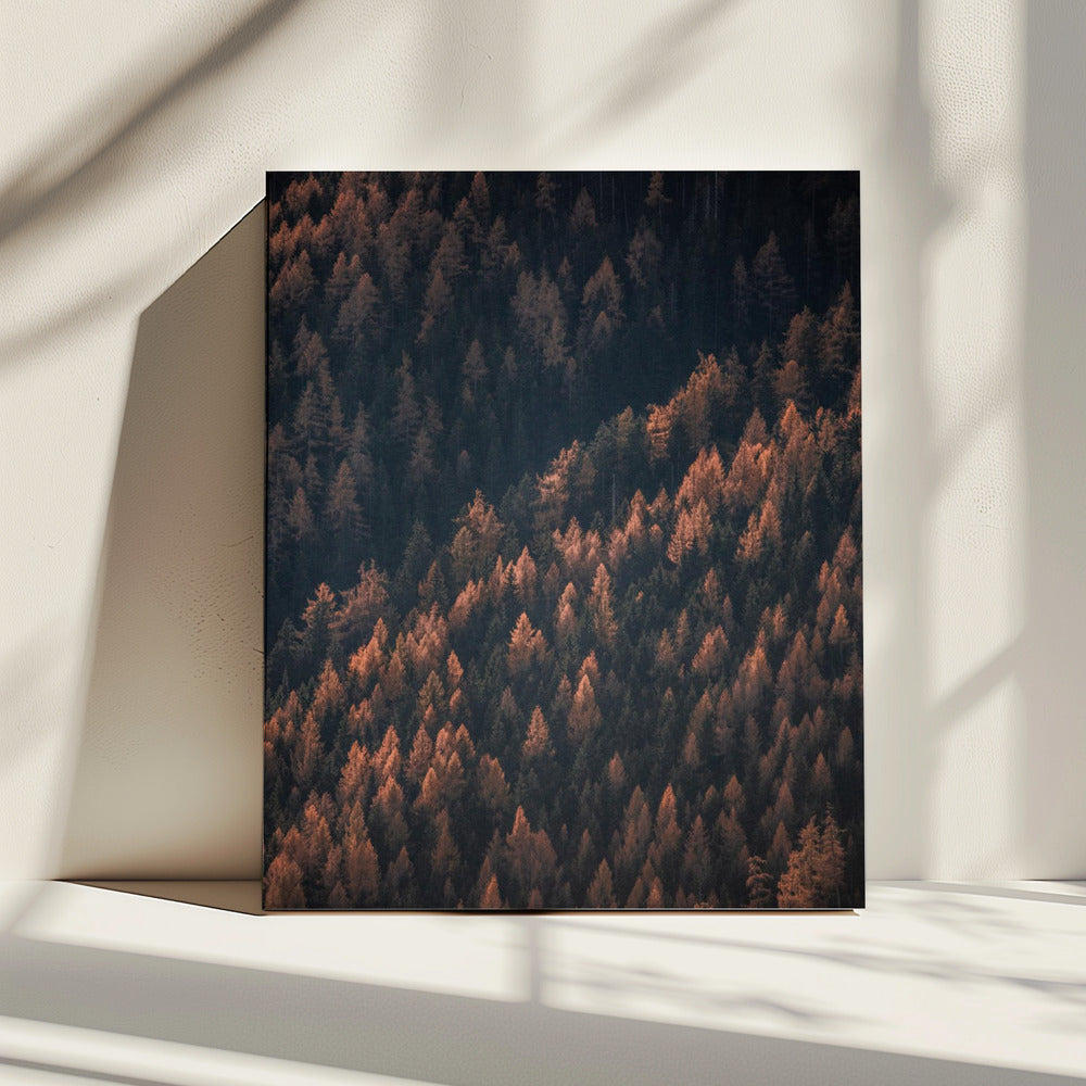 Autumn Woods 2 | Canvas